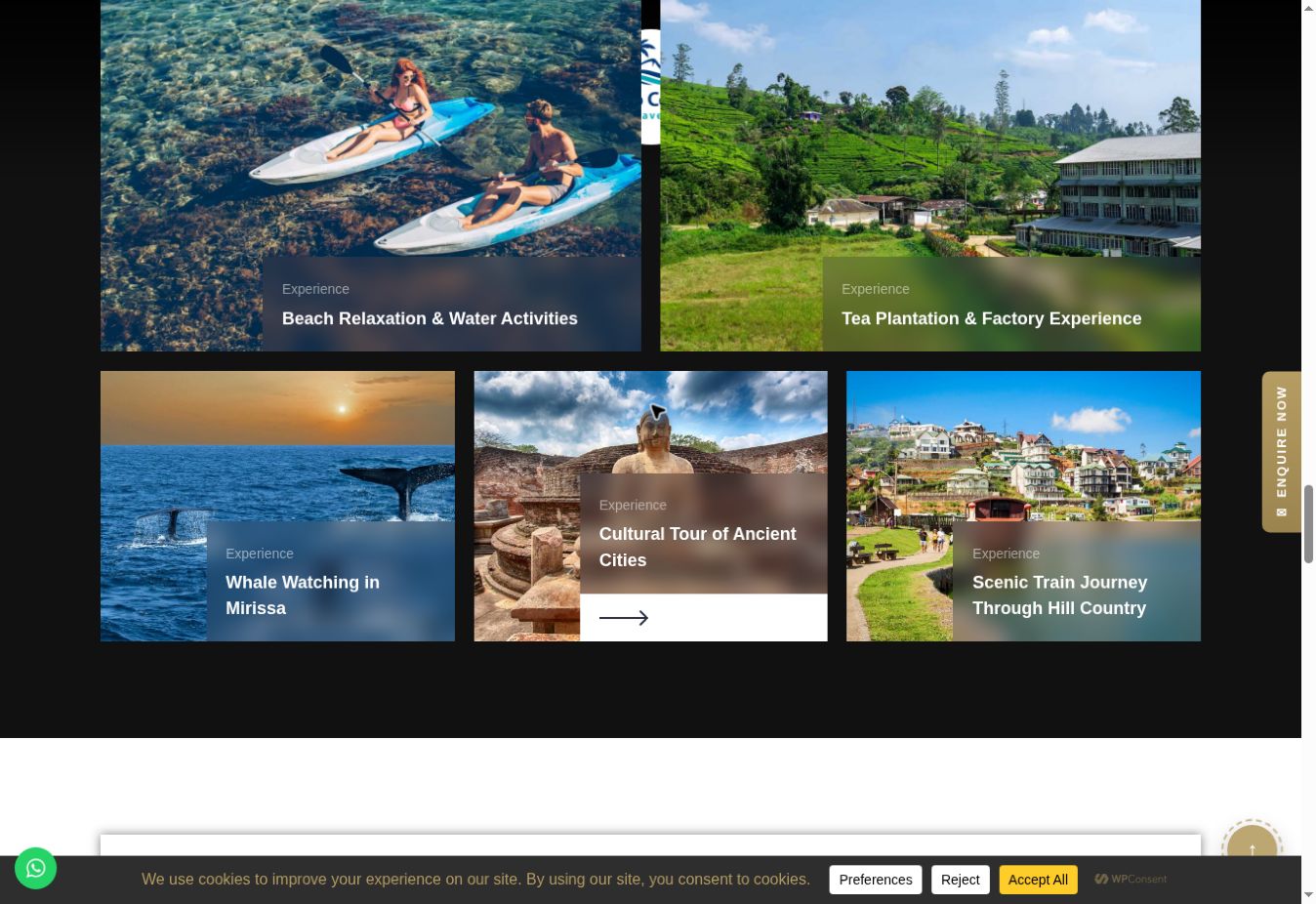 Preview of Jetro Ceylon Travels website
